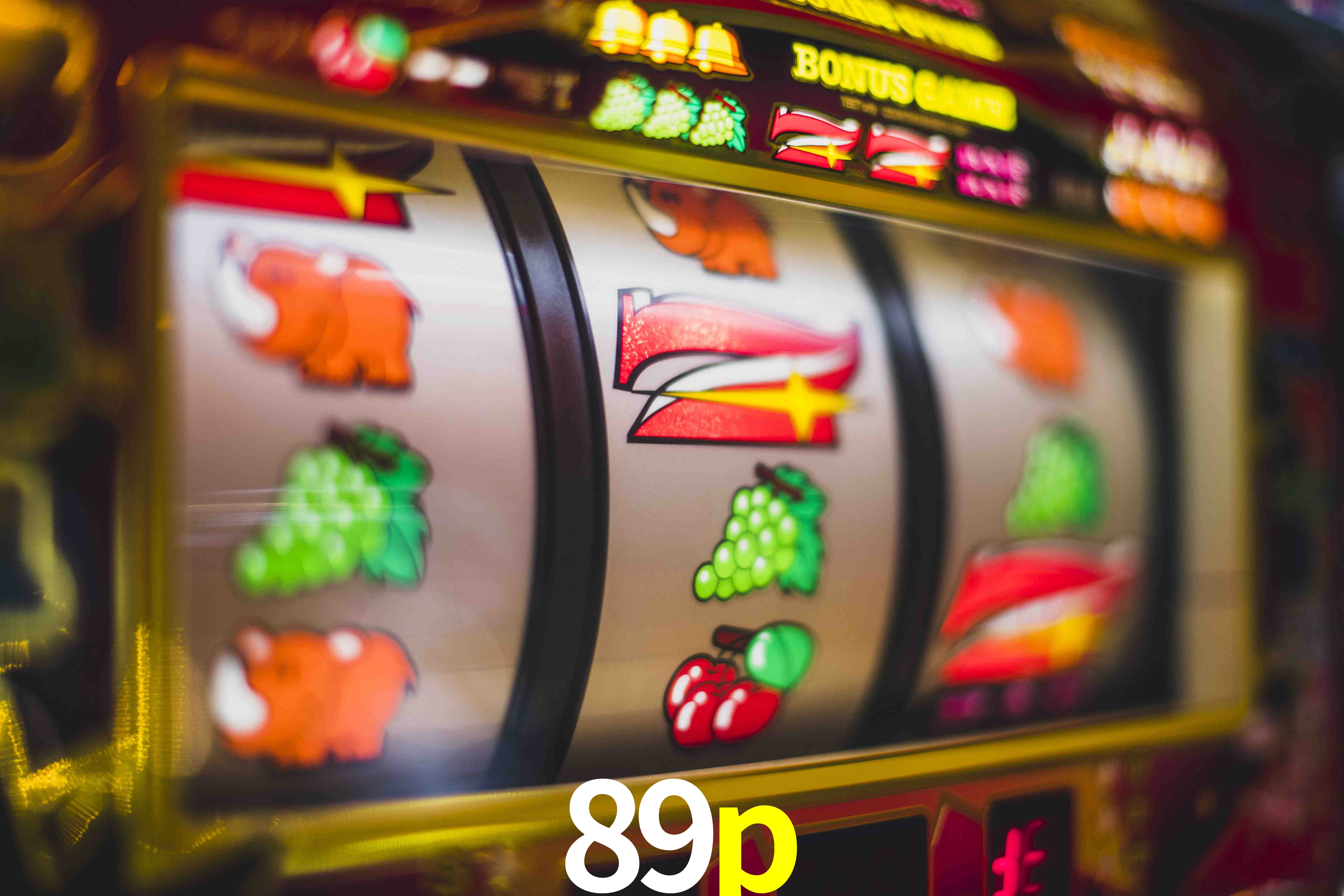 Experiência VIP 89p